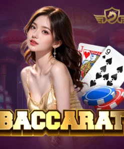 Baccarat DreamGaming May88