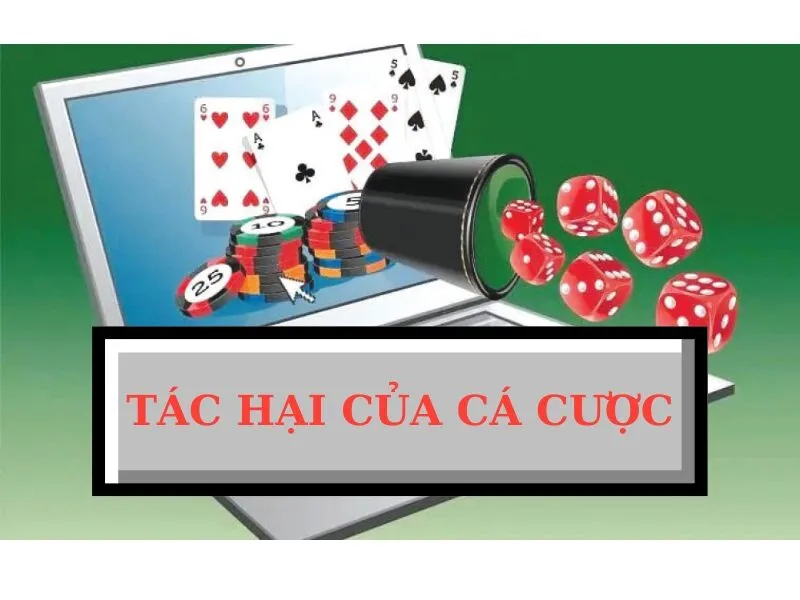 tac hai cua ca cuoc